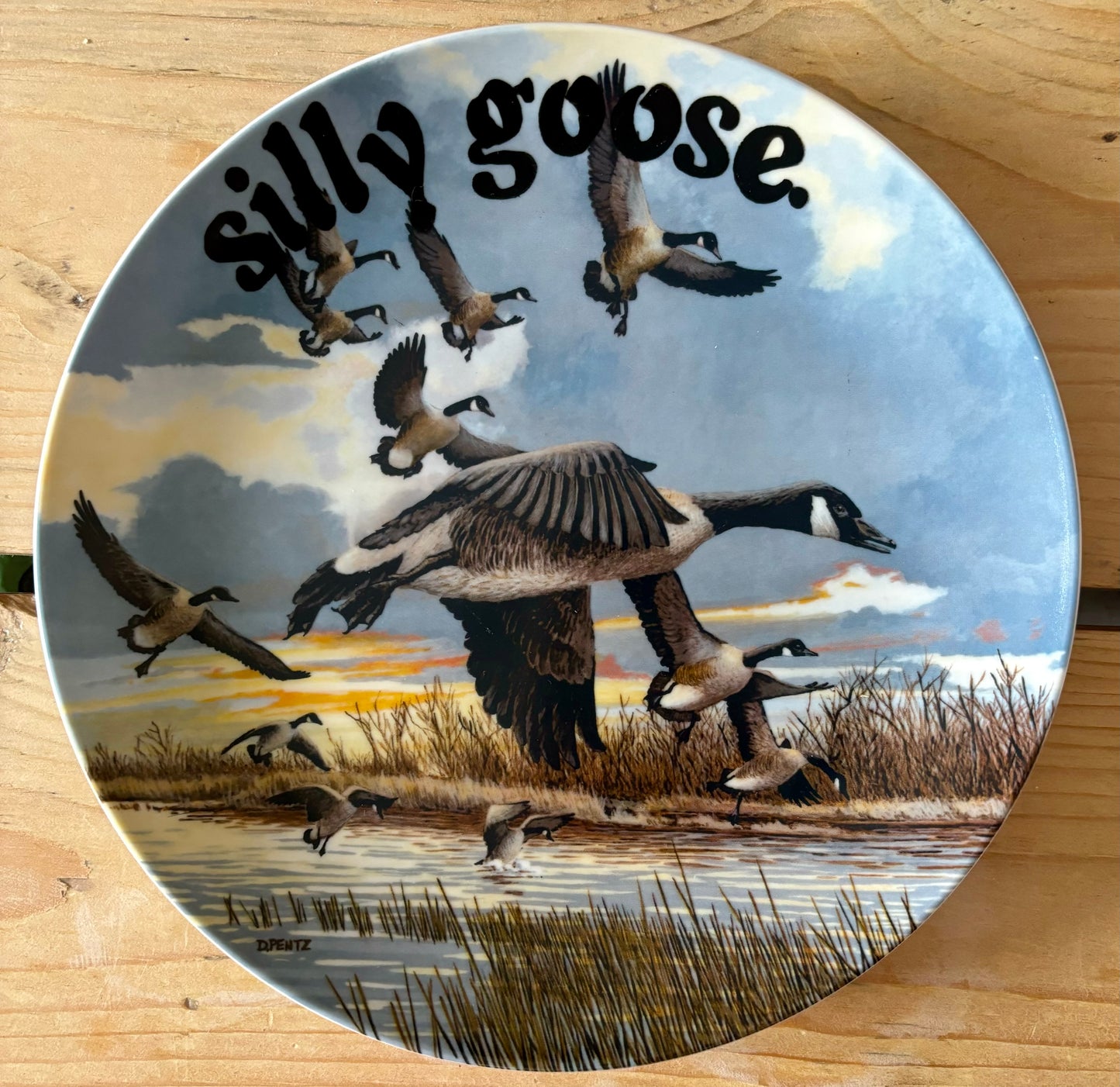 Flying Goose