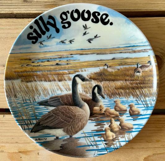Family of Silly Gooses